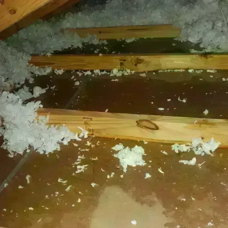 Attic Water Damage in Walworth County, WI