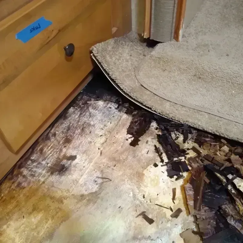 Wood Floor Water Damage in Walworth County, WI